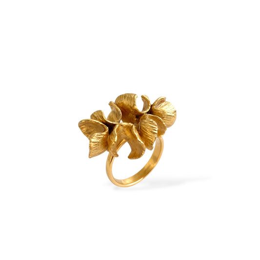 Anillo Six Savia