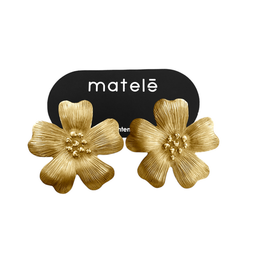 Aretes Ana Big