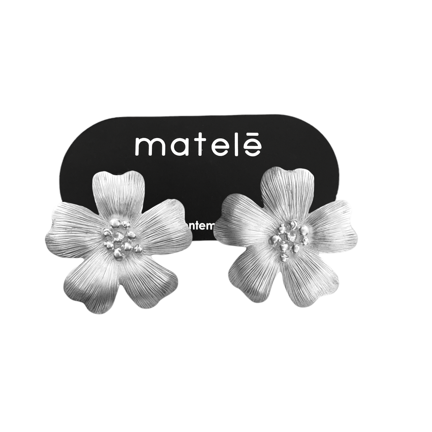 Aretes Ana Big