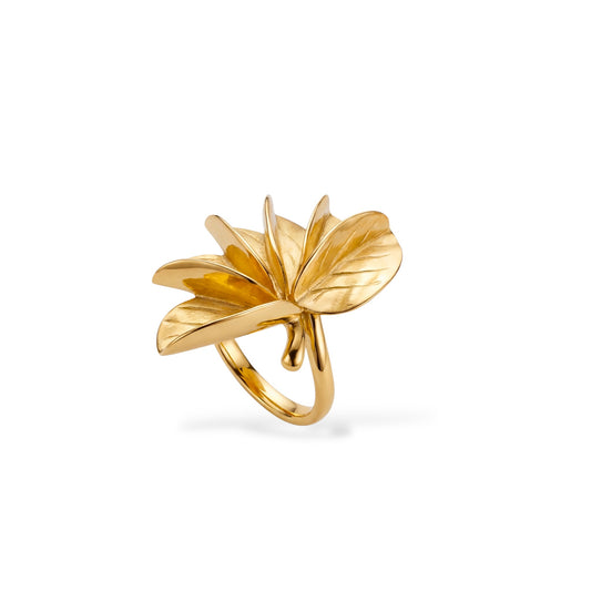Anillo Matelé