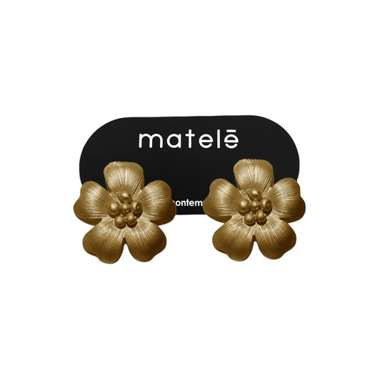 Aretes Ana