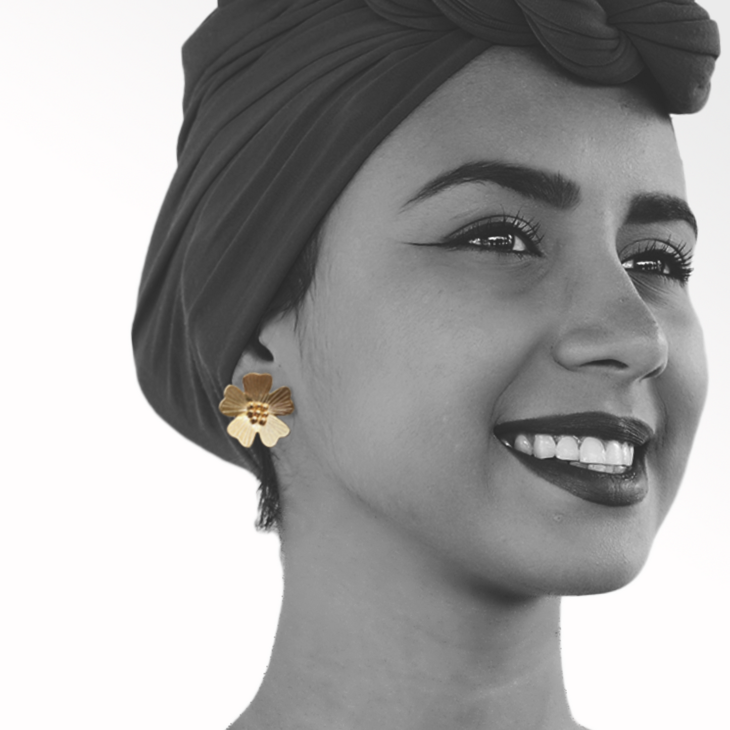 Aretes Ana