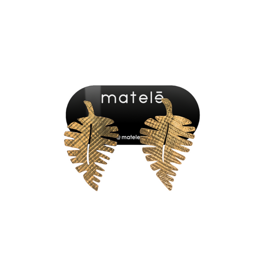 Aretes Clara