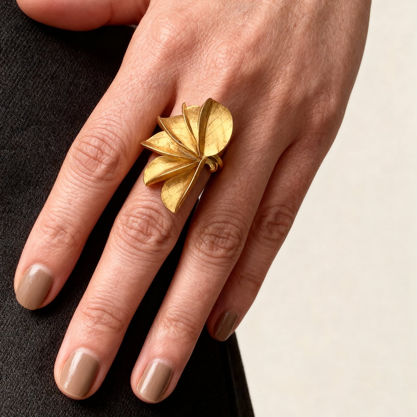 Anillo Matelé