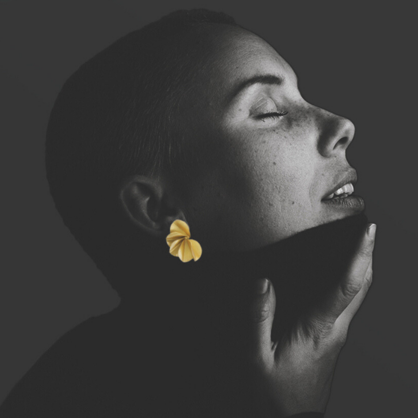 Aretes Elisa